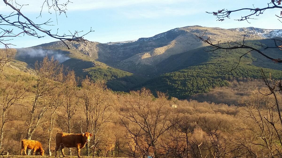 Maison 140 m² La Hoya : 8 personnes, vue montagne - Photo 49