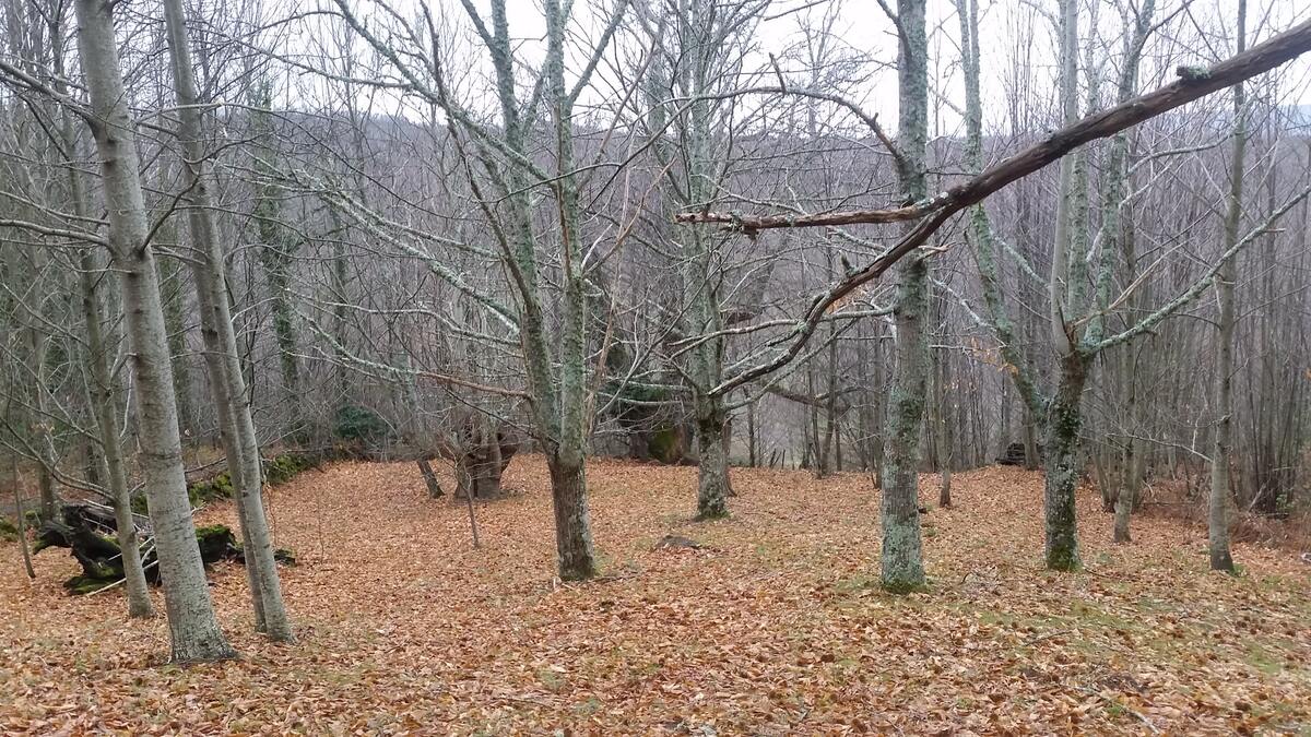 Maison 140 m² La Hoya : 8 personnes, vue montagne - Photo 60