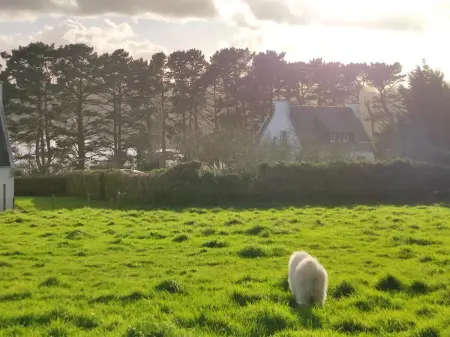 Maison vue mer à Plouguerneau, Maison 9 personnes à Plouguerneau - Photo 13