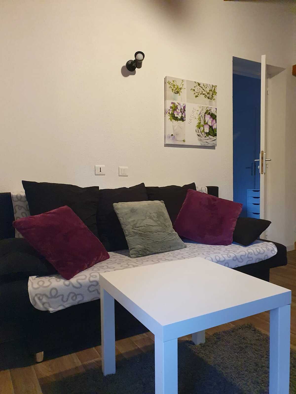 Chalet 28 m² avec terrasse barbecue à Tarascon-sur-Ariège - Photo 1