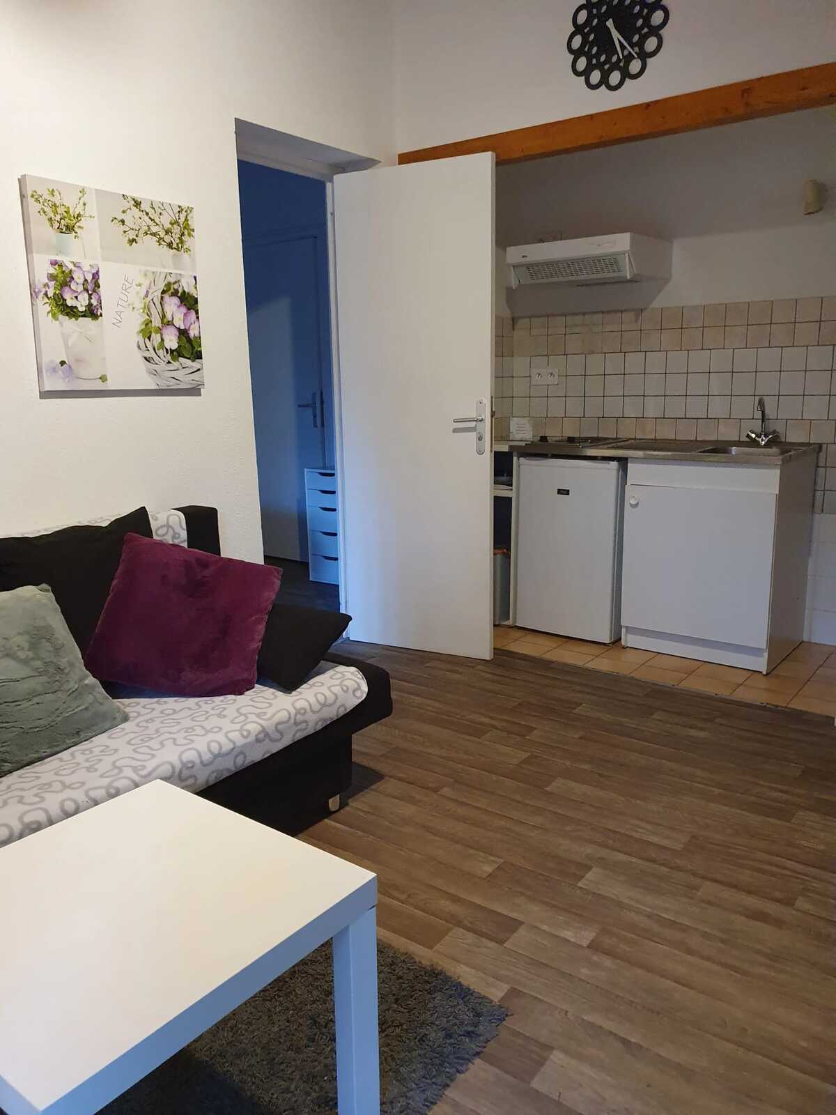 Chalet 28 m² avec terrasse barbecue à Tarascon-sur-Ariège - Photo 2