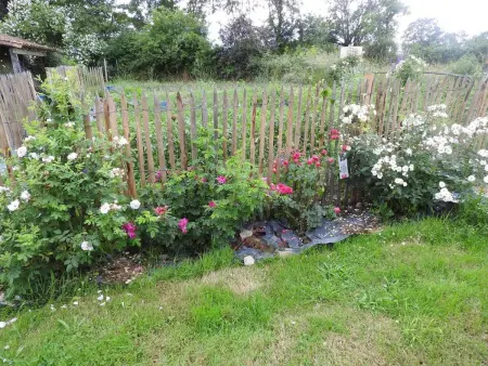Maison charmante près de Nueil-les-Aubiers avec jardin - Photo 11