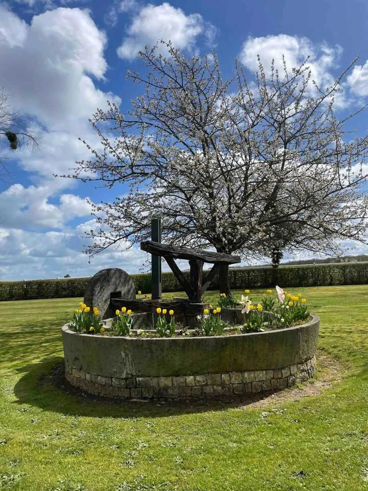 Maison de campagne avec piste de pétanque à Saint-Nicolas-du-Bosc - Photo 11