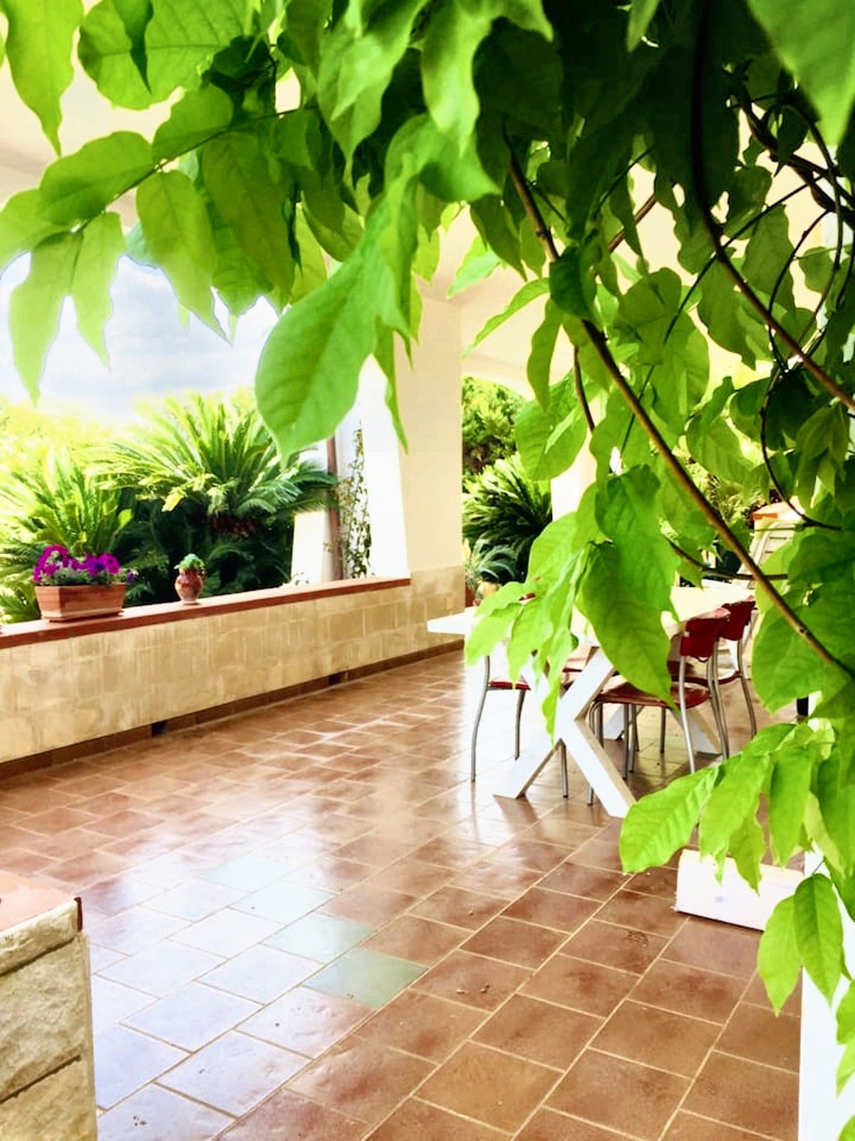Appartement 140 m² avec cheminée à San Vito dei Normanni - Photo 15