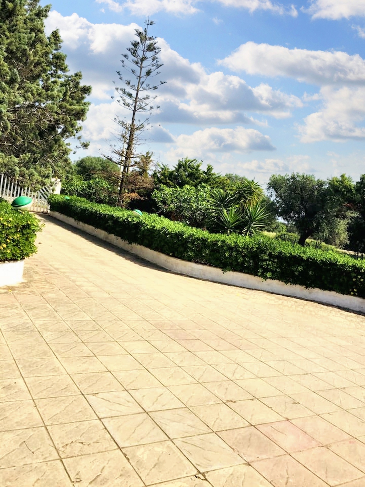 Appartement 140 m² avec cheminée à San Vito dei Normanni - Photo 16
