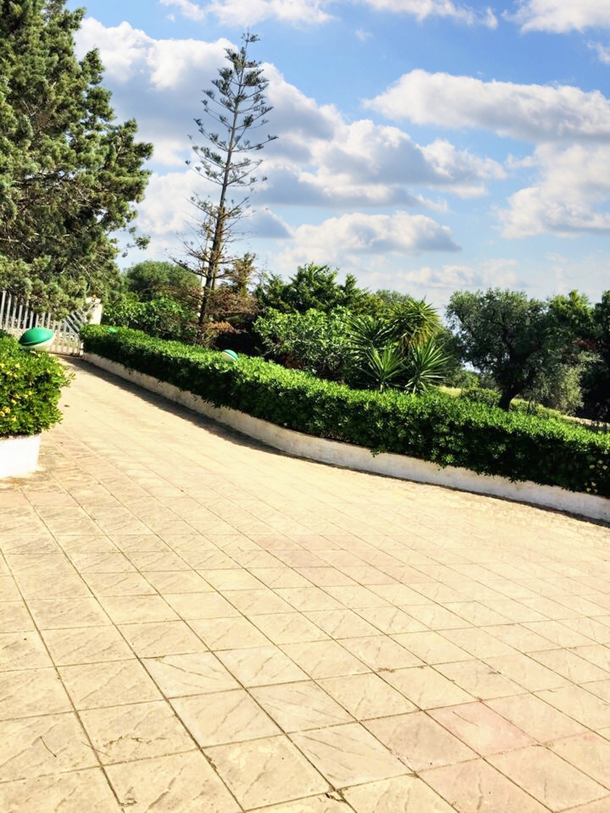 Appartement 140 m² avec cheminée à San Vito dei Normanni - Photo 46