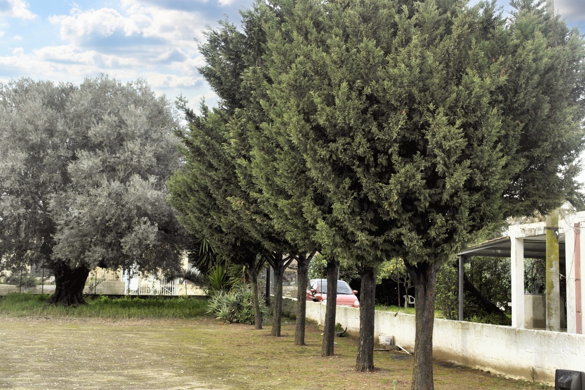 Maison 70 m² avec jardin à Vittoria, 4 personnes - Photo 13