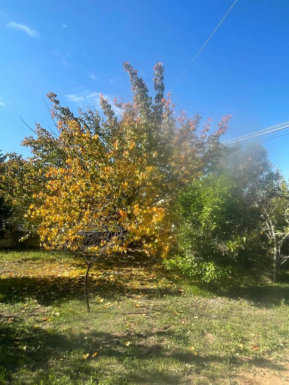 Maison 70 m² avec jardin à Vittoria, 4 personnes - Photo 22