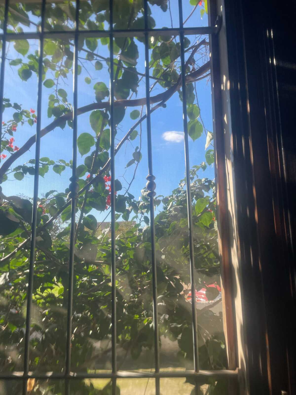 Maison 70 m² avec jardin à Vittoria, 4 personnes - Photo 24