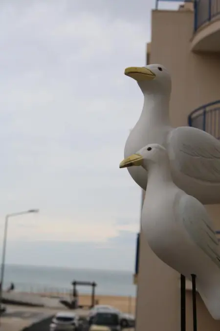 Appartement 120 m² vue mer et cheminée à Nazaré, 6 personnes : photo 29