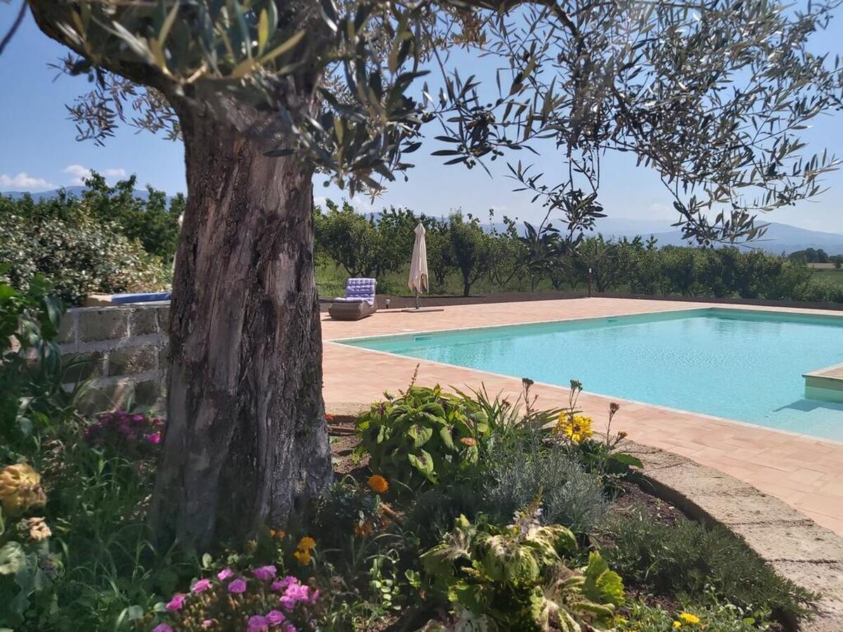 Villa 24 pers. avec piscine privée à Segni - Photo 3