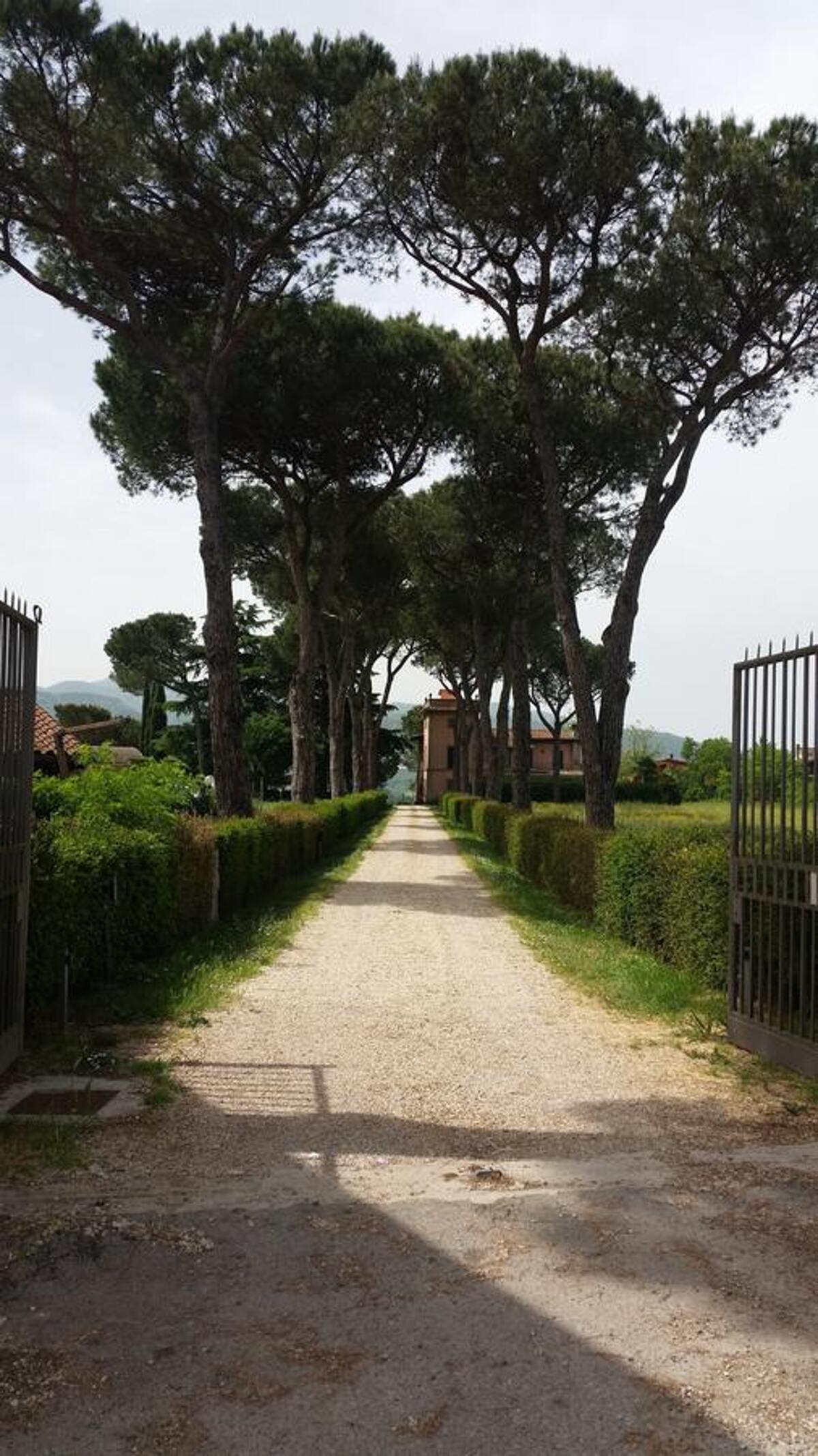 Villa 24 pers. avec piscine privée à Segni - Photo 43