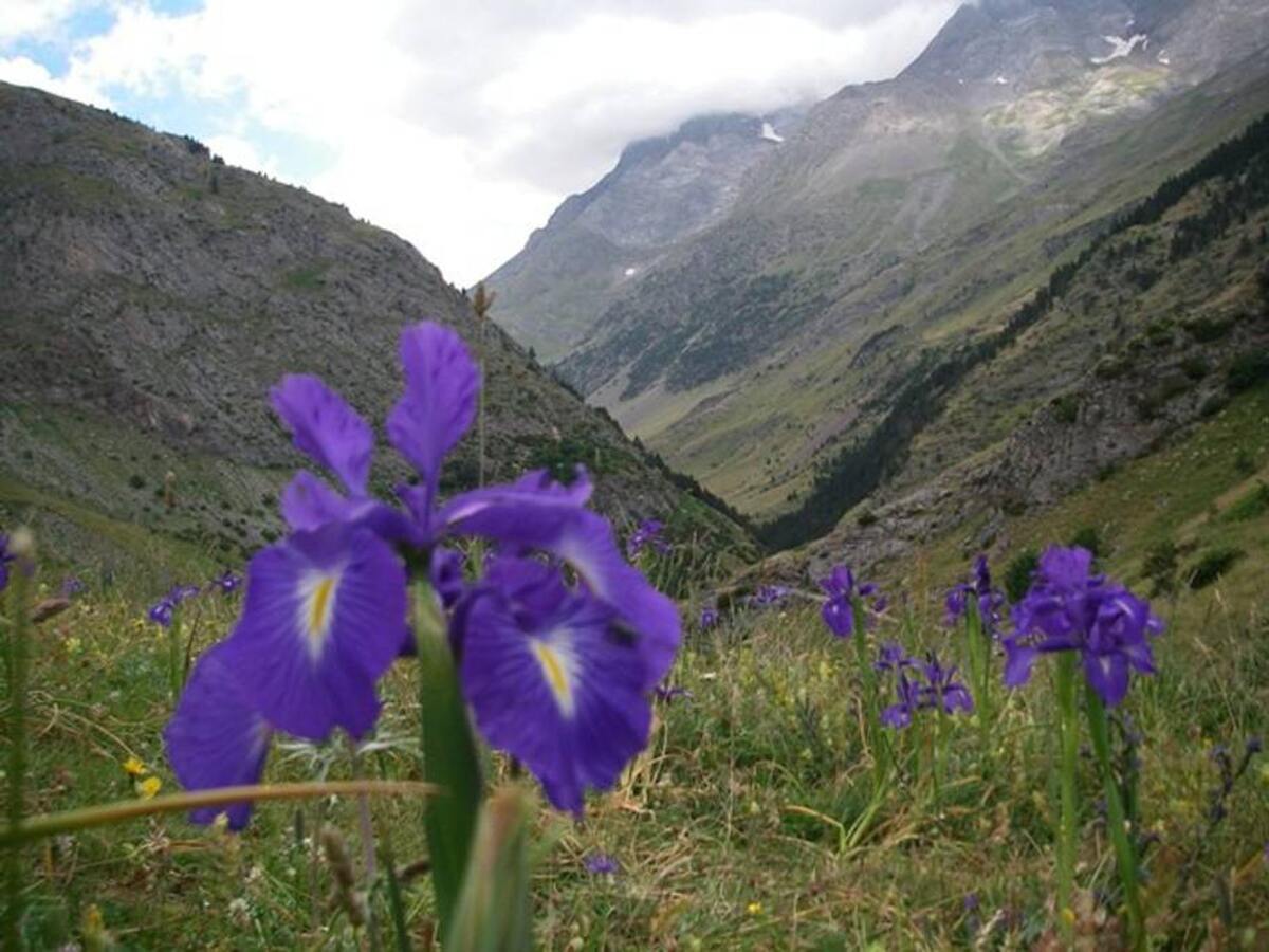 Maison Belsierre - Vue montagne, cheminée, 4 pers. - Photo 19