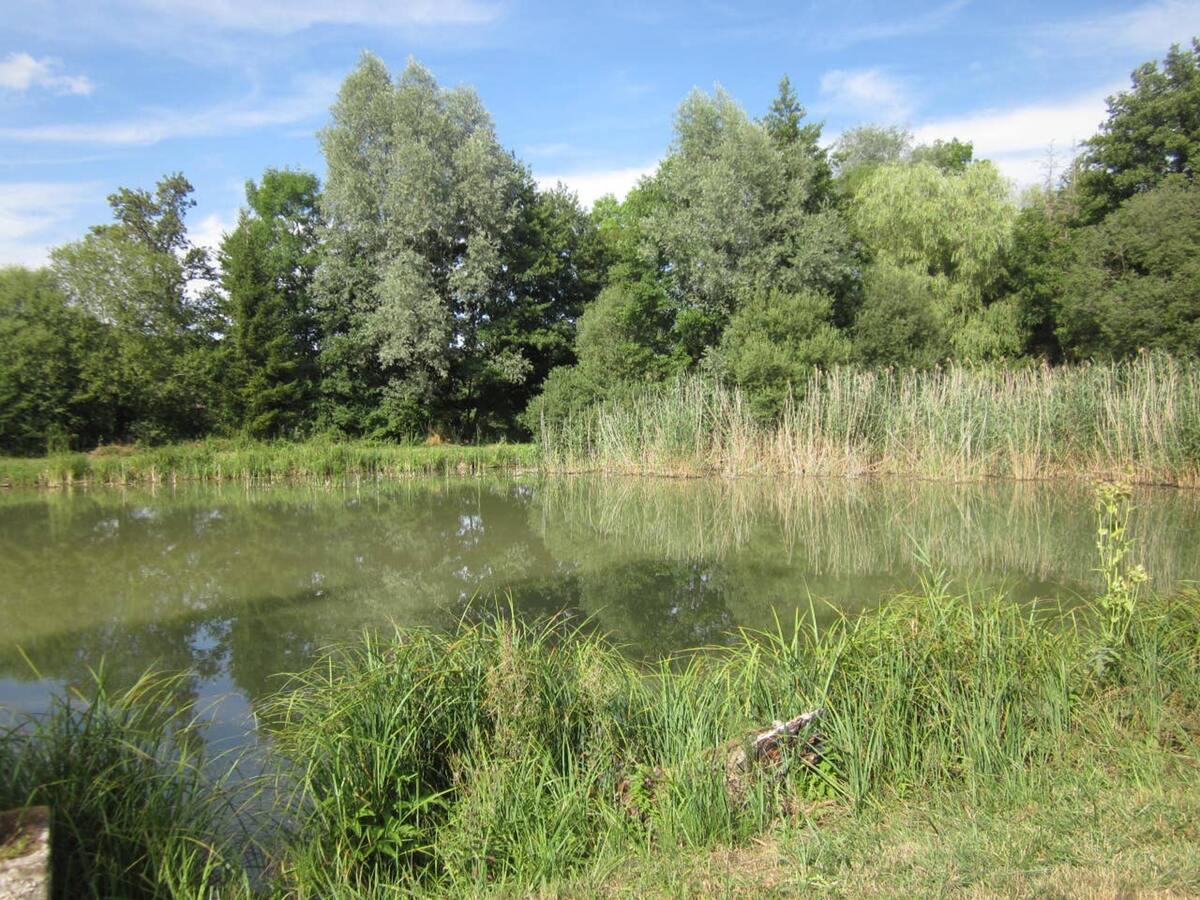 Maison 120m² spa de nage They-Sous-Montfort - Photo 74