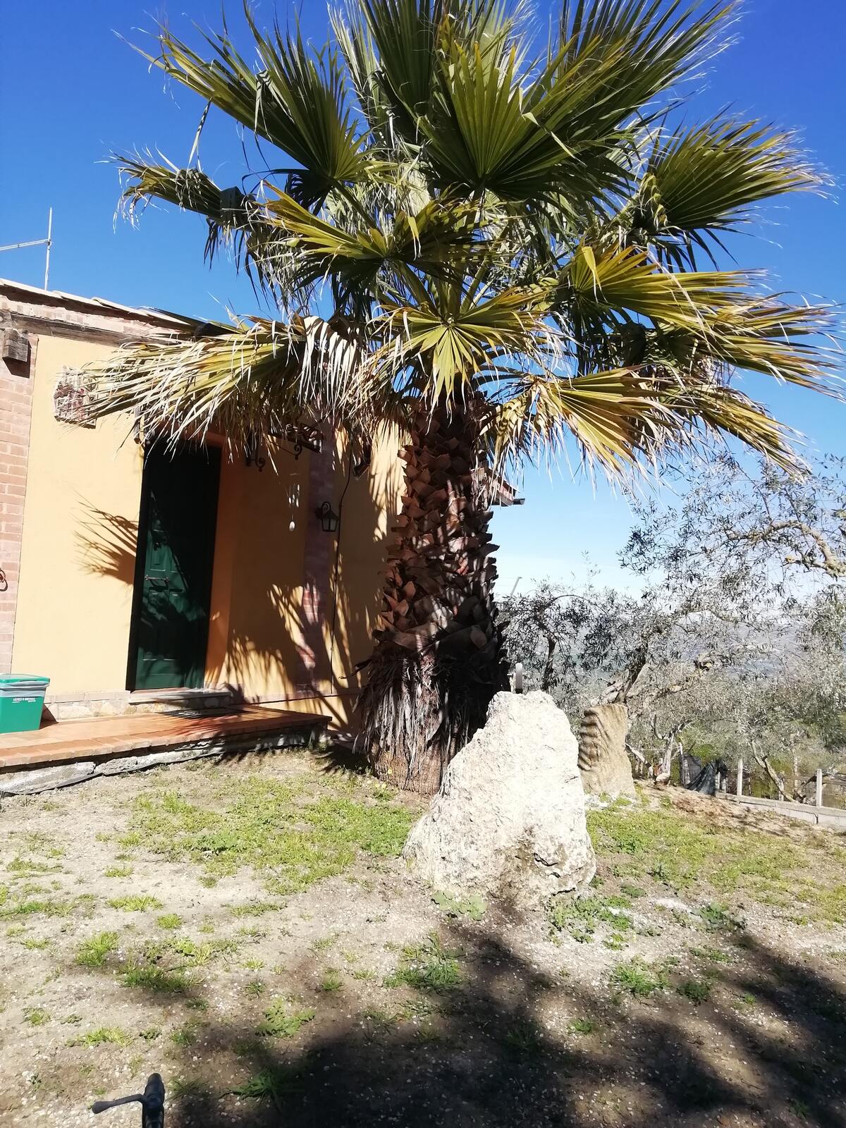 Appartement 50 m² terrasse vue montagnes à Caltanissetta - Photo 19