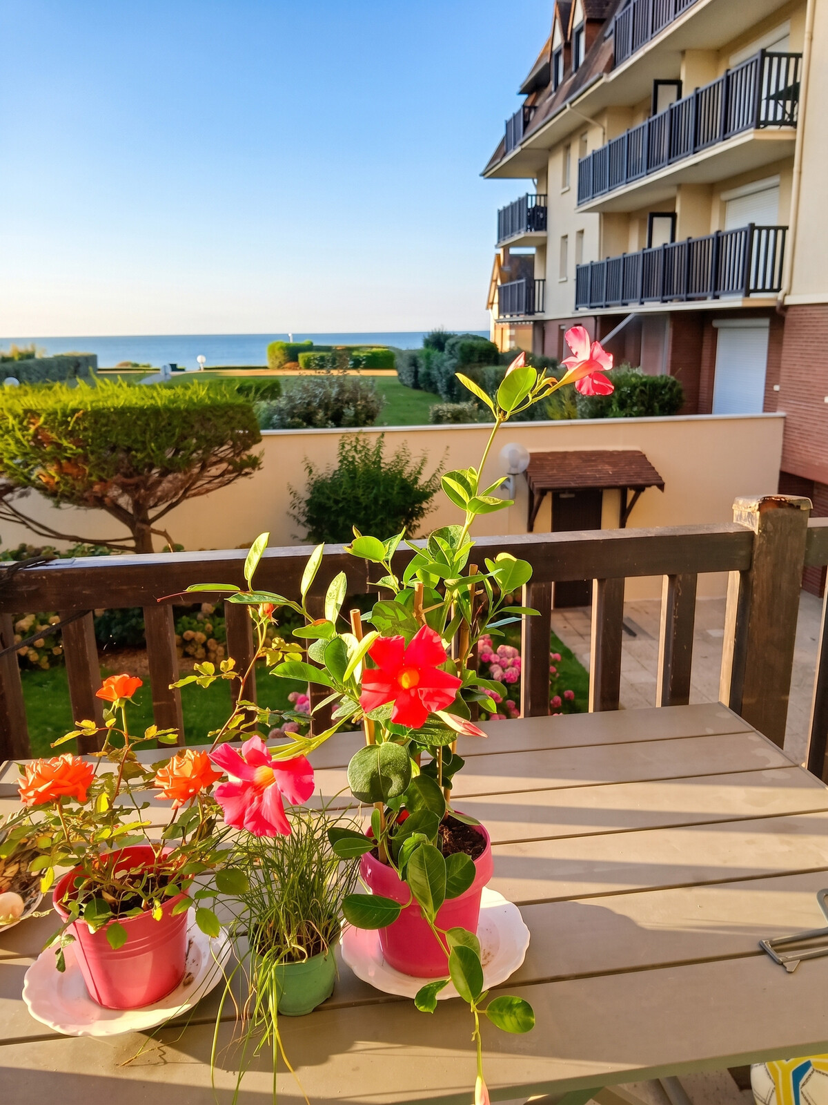 Appartement 30 m² vue mer avec balcon à Cabourg - Photo 17