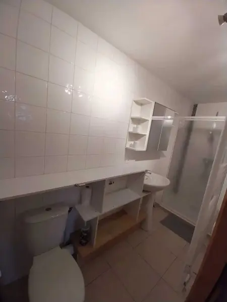 Appartement 48 m² terrasse privée vue montagne Les Belleville : photo 8
