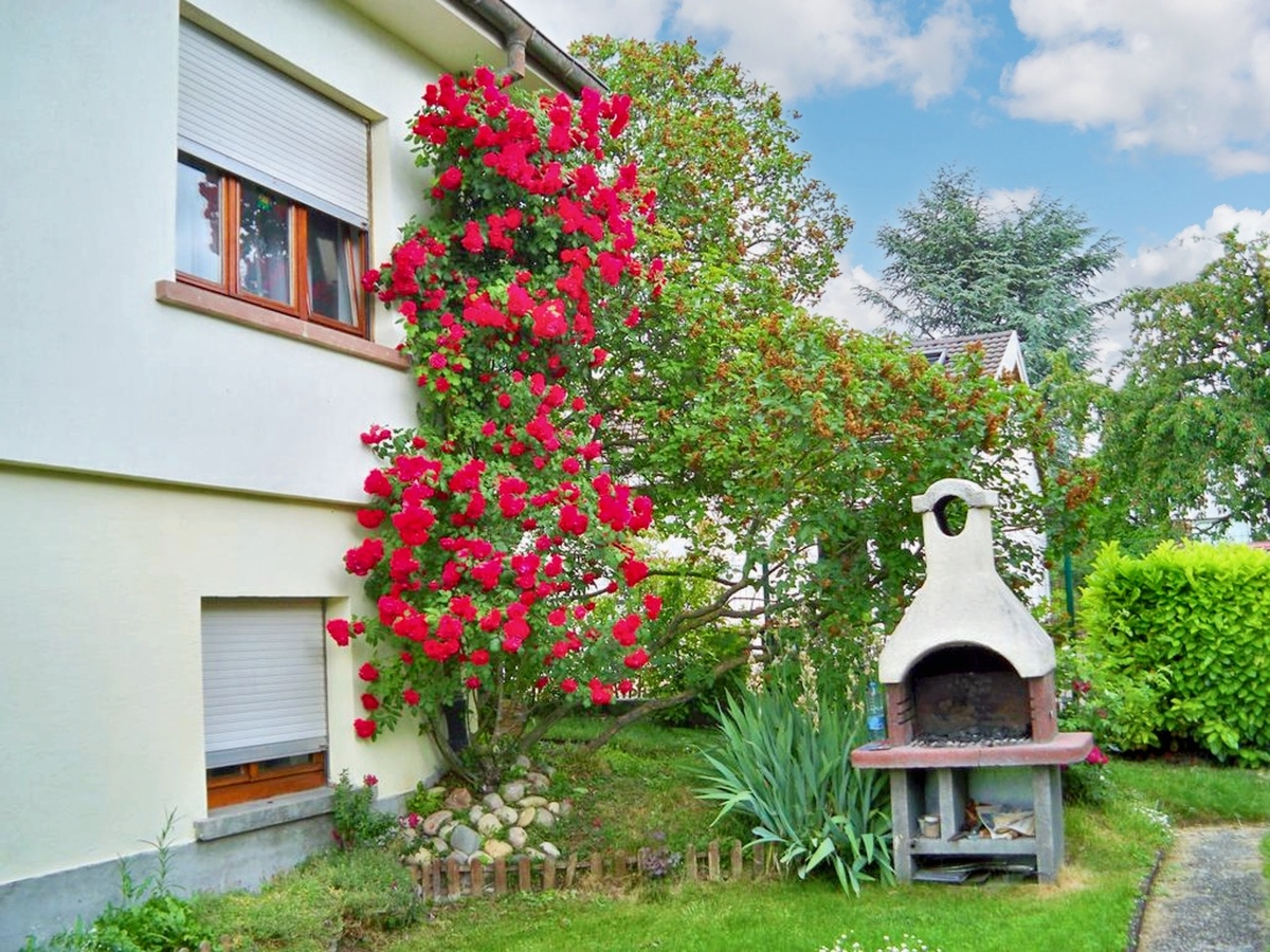 Appartement 55 m² à Jebsheim, terrasse, jardin et pétanque - Photo 10