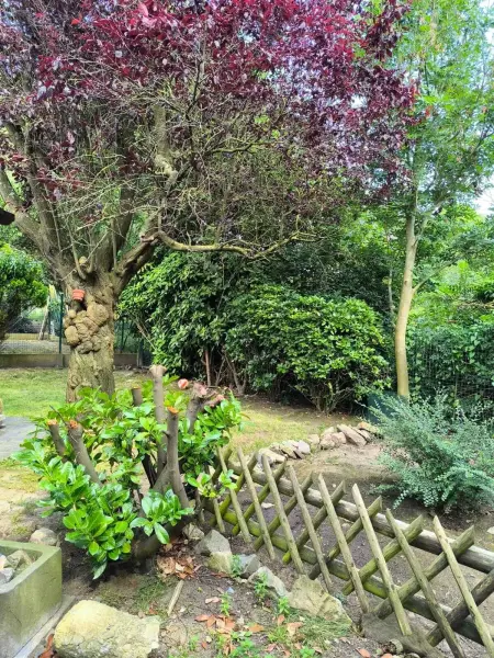 Maison 3 chambres avec jardin clôturé et barbecue à Hoegaarden : photo 21