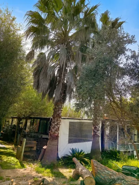 Bungalow éco-lodge à Puget-sur-Argens - jardin privatif 110 m² : photo 25