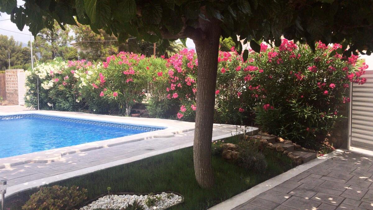 Villa 10 pers. avec piscine privée à Calafat - Photo 23