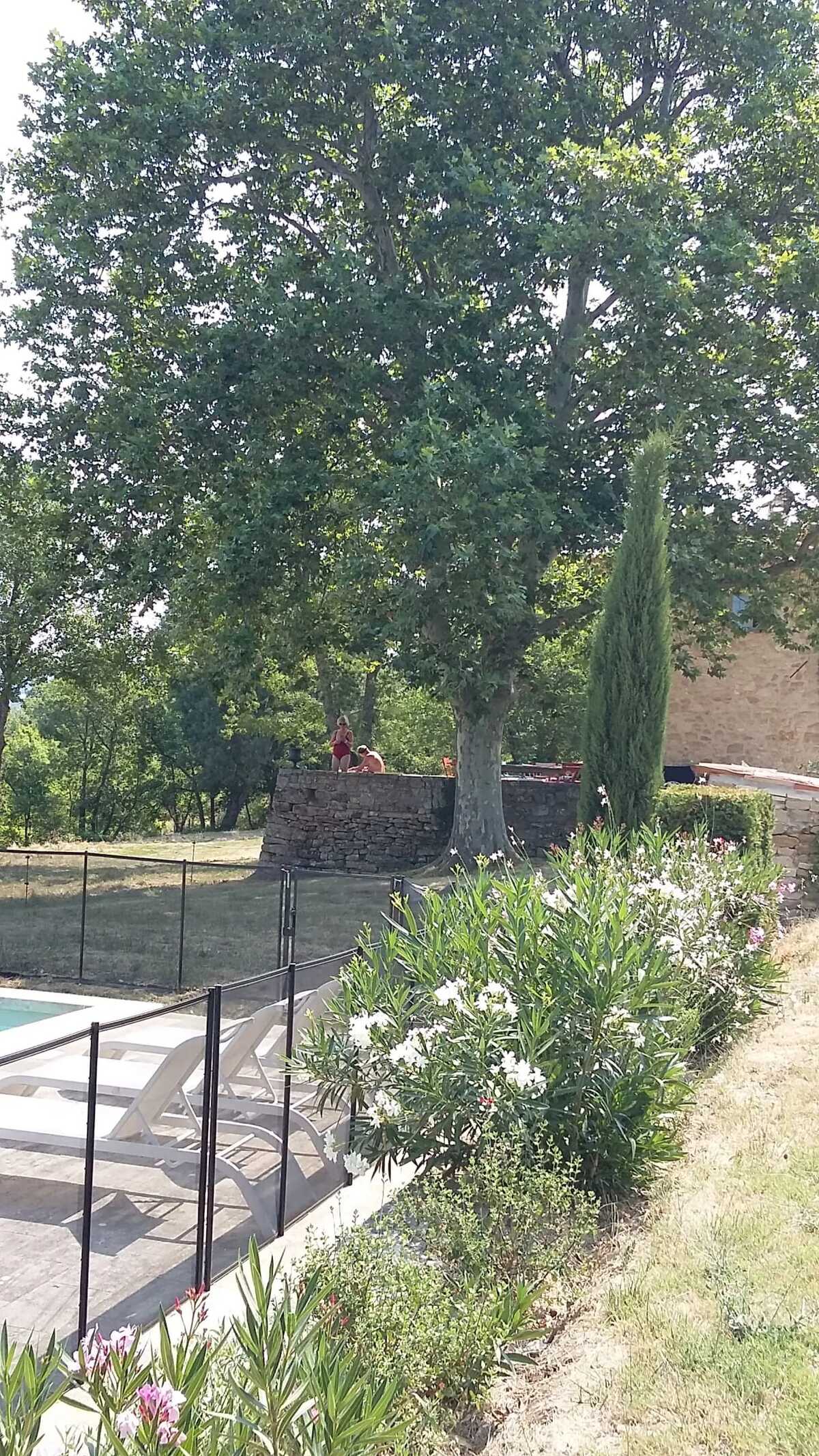 Villa avec piscine privée et jardin à Saignon, 6 chambres - Photo 48