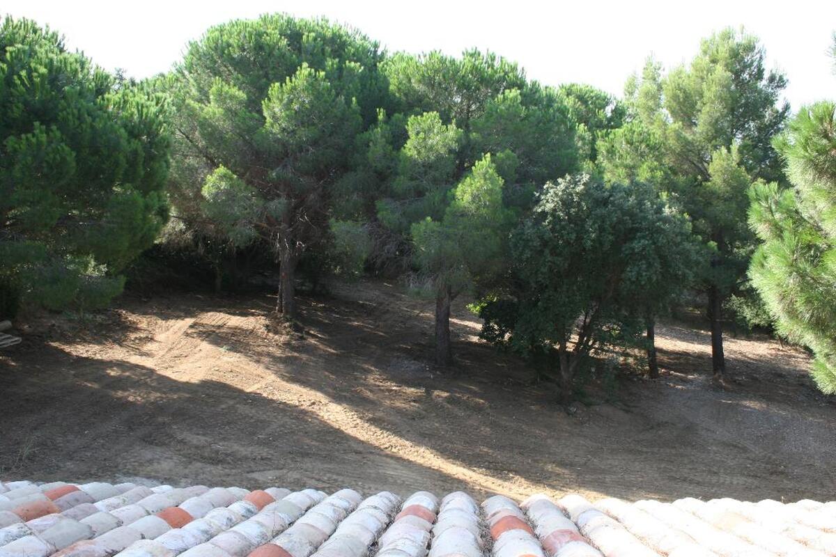 Maison 5 chambres Sainte-Maxime, terrasse vue mer - Photo 36