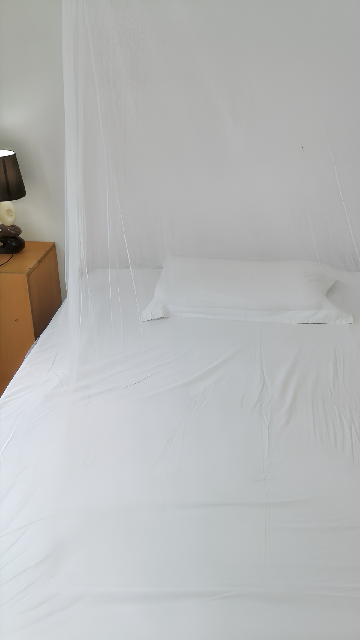 Maison 2 chambres avec jardin clos à Trou aux Biches - Photo 11