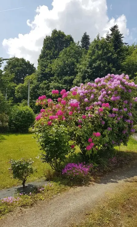 Maison de charme à Québriac avec jardin clôturé et barbecue : photo 20