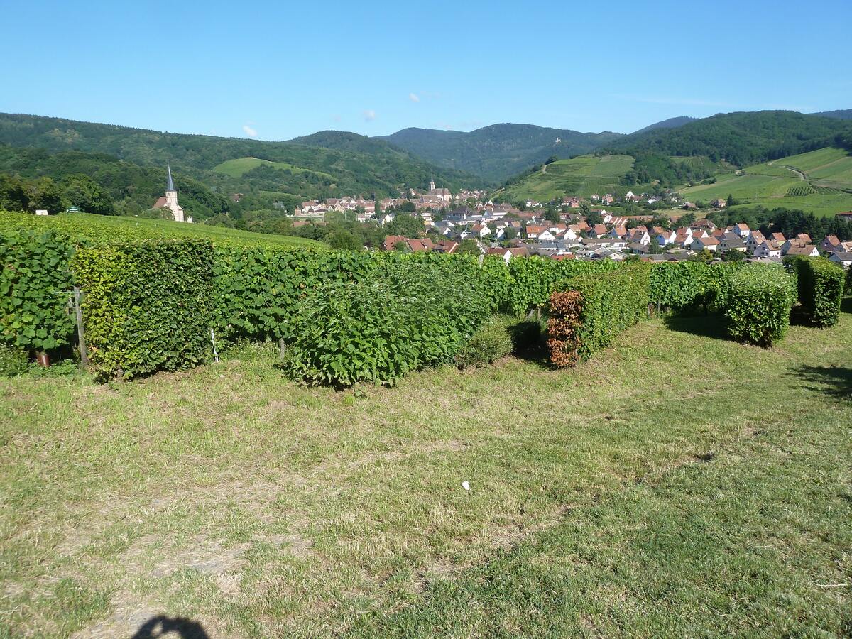 Appartement 115 m² à Epfig, 6 pers., jardin et barbecue - Photo 20