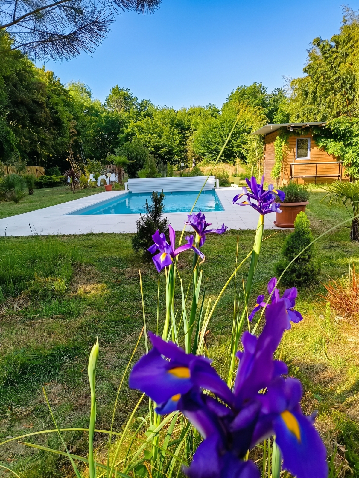 Villa 10 pers. avec piscine privée à Château-la-Vallière - Photo 18