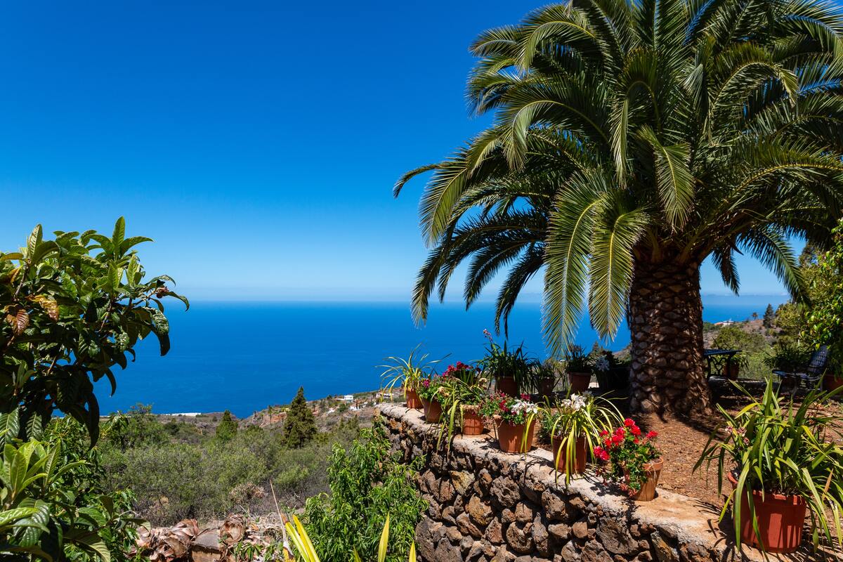 Villa 52 m² vue mer et piscine privée à Tijarafe - Photo 16