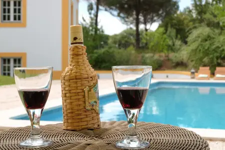 Villa ensoleillée à Comporta avec piscine privée - Photo 10