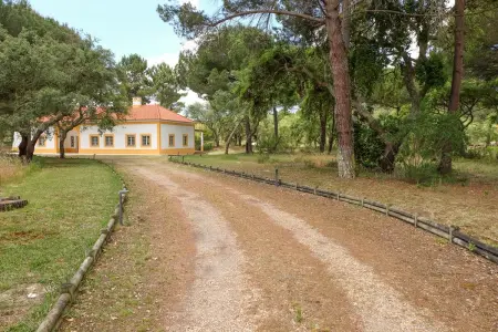 Villa ensoleillée à Comporta avec piscine privée - Photo 28