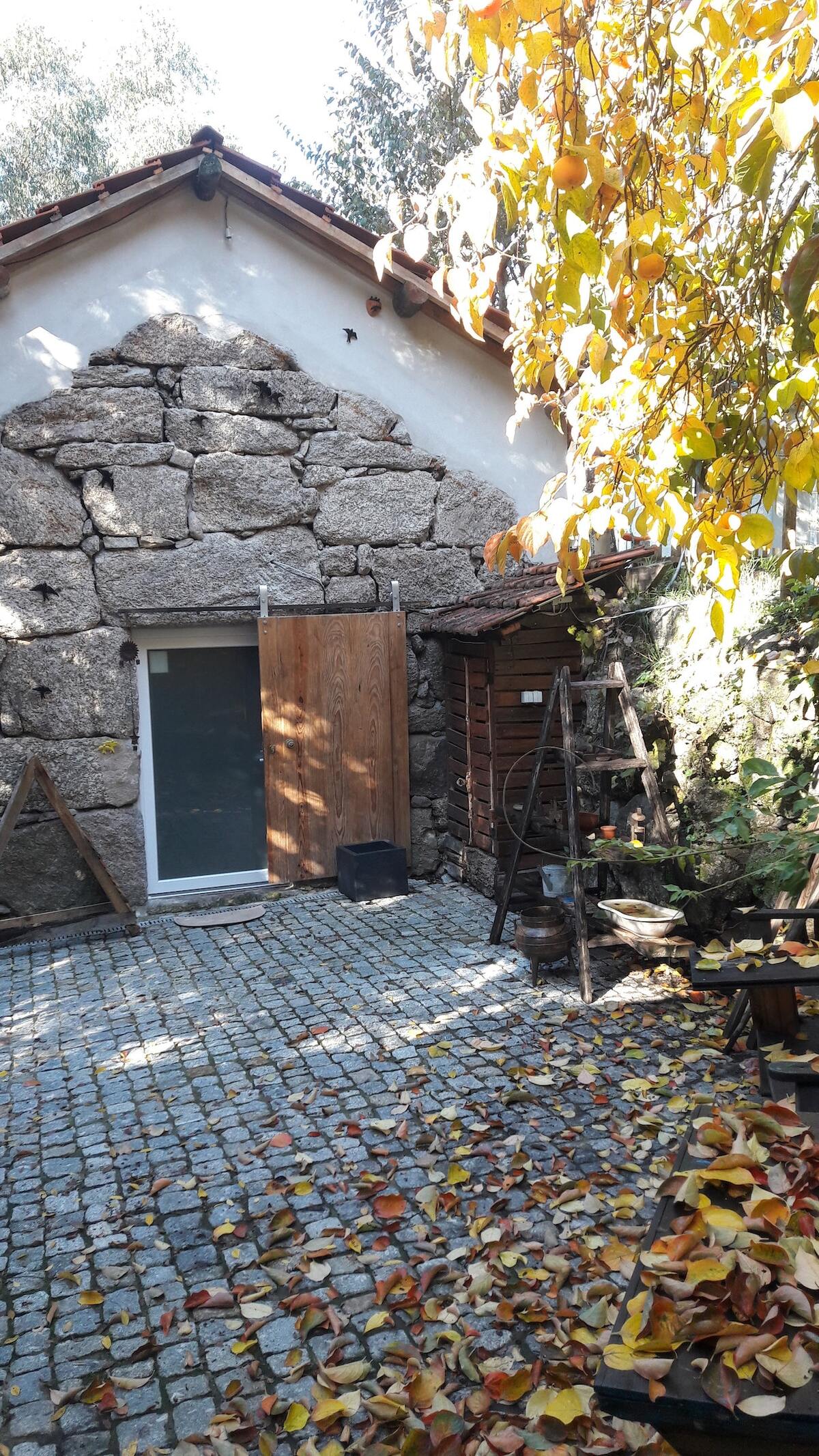 Appartement 50 m² avec piscine commune à Marco de Canaveses - Photo 3