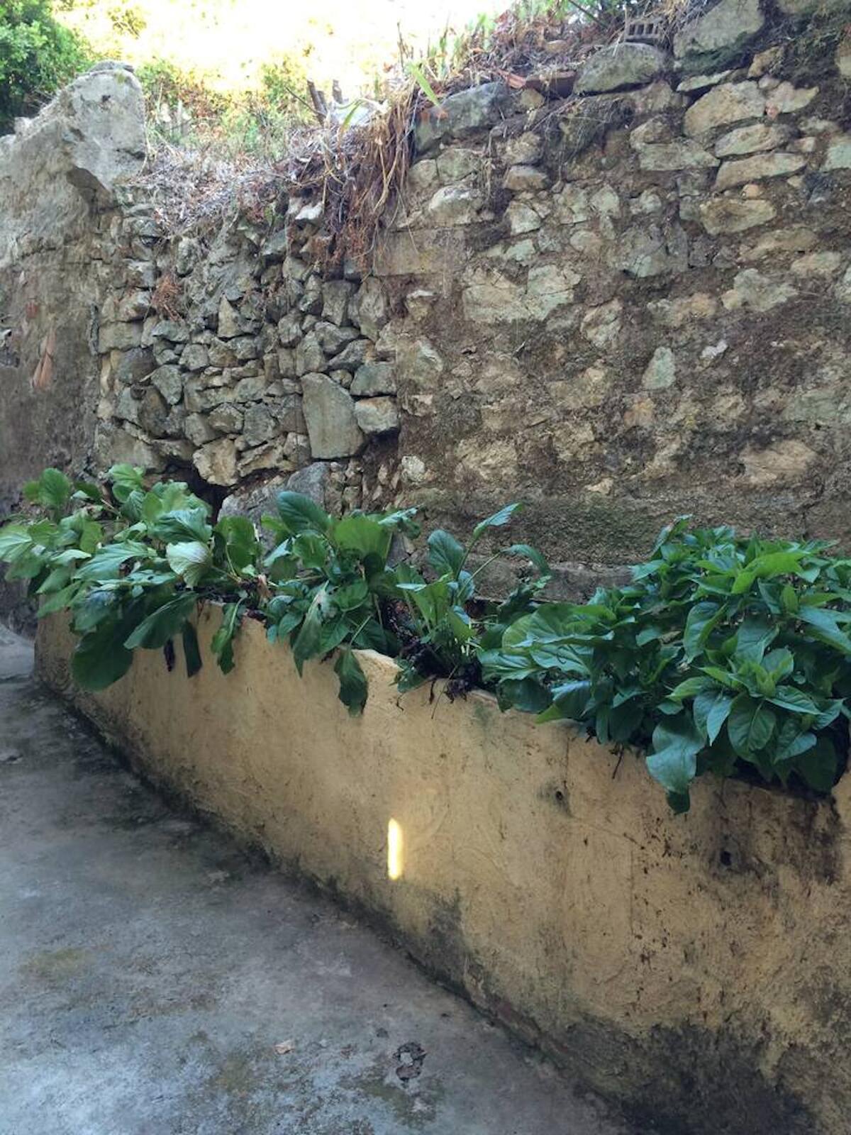 Maison de charme avec terrasse et jardin à Ajaccio, 2 chambres - Photo 8