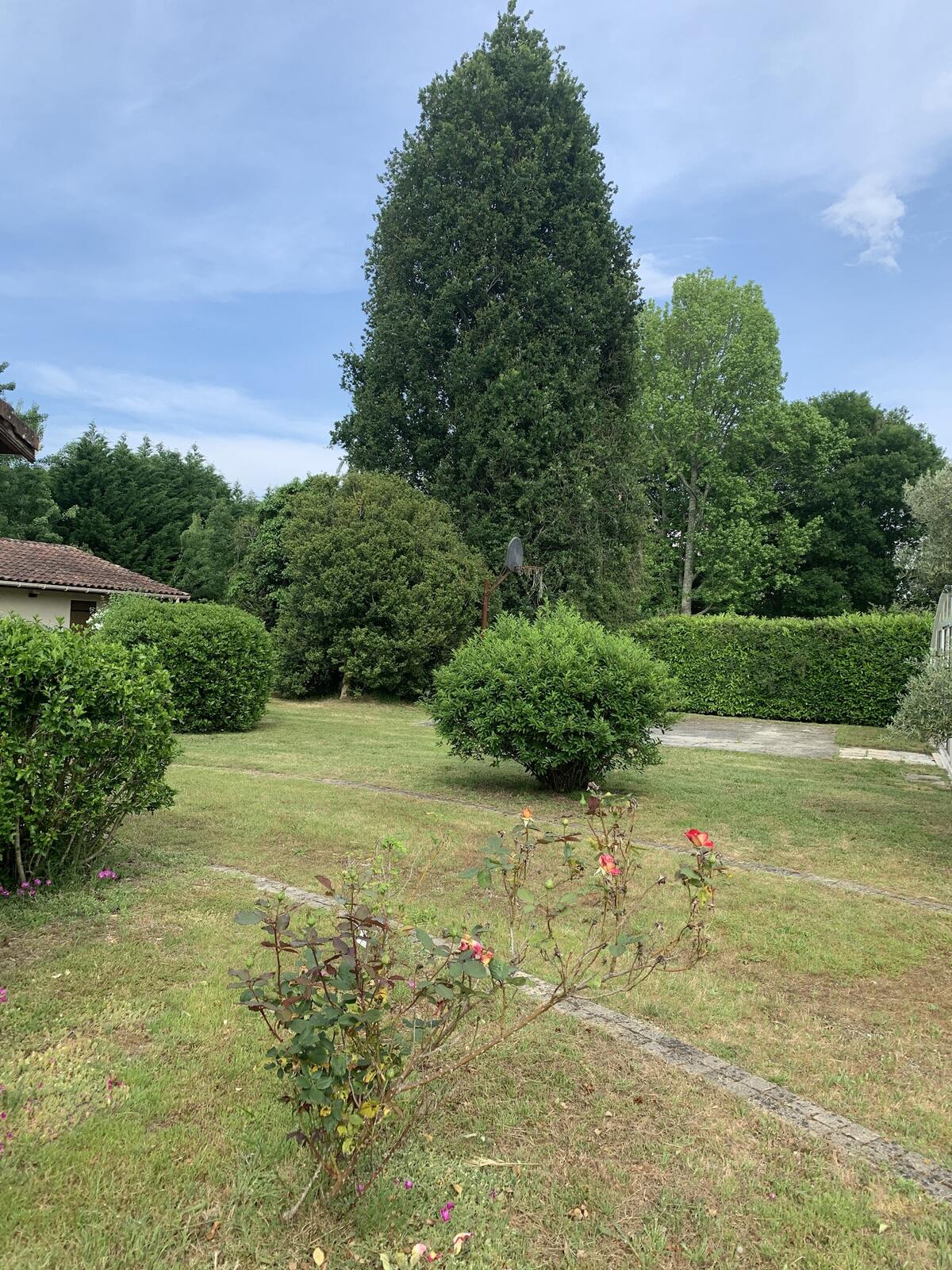 Maison 60 m² avec piscine privée à Pontenx-les-Forges - Photo 9