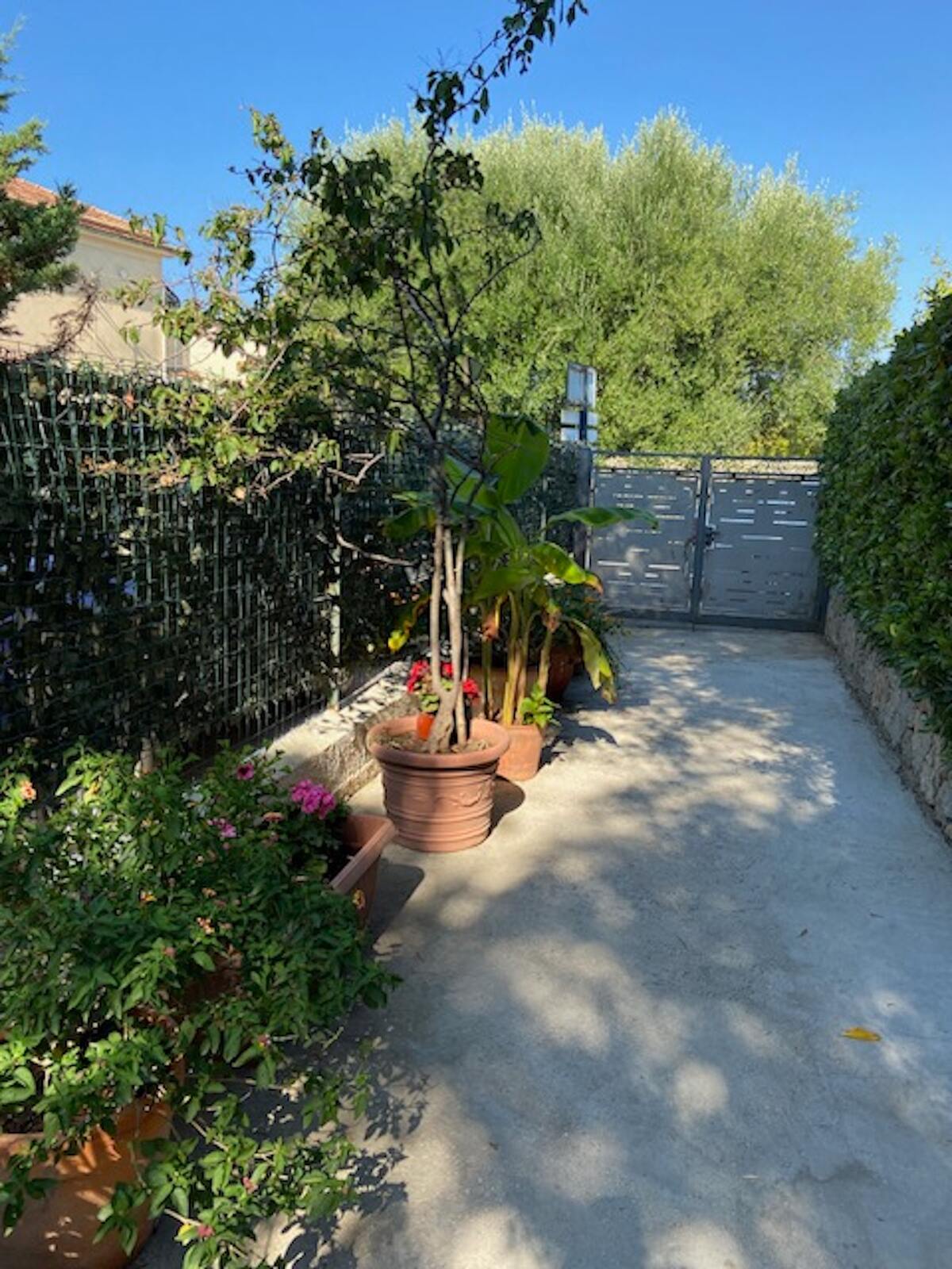Maison 5 pers. avec jardin clos à Marina di Camerota - Photo 17