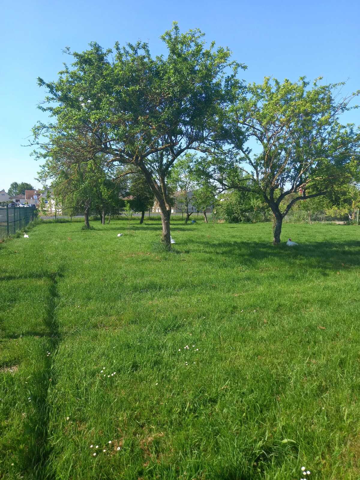 Maison 45 m² à Chepy, jardin clôturé et pétanque - Photo 16