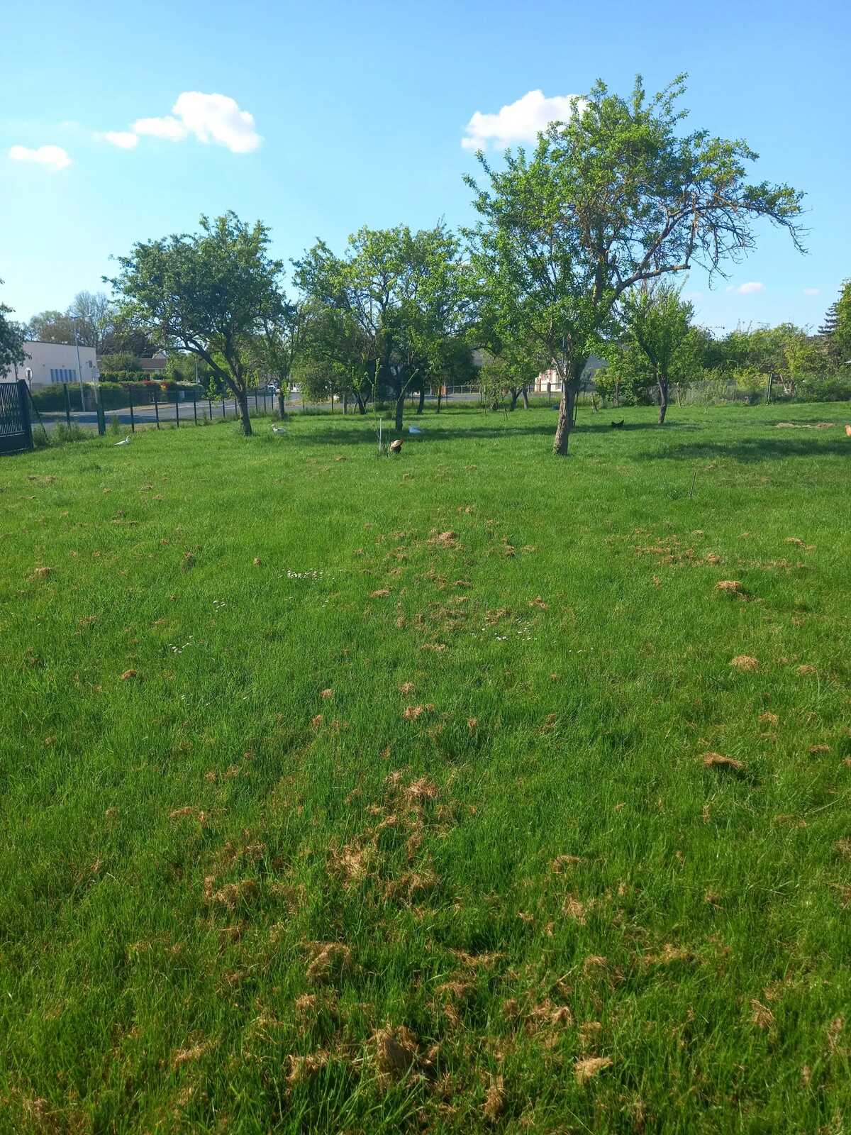 Maison 45 m² à Chepy, jardin clôturé et pétanque - Photo 17