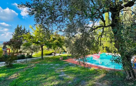 Maison 12 pers. avec piscine et oliviers à Giove : photo 3