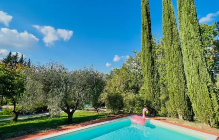 Maison 12 pers. avec piscine et oliviers à Giove : photo 11