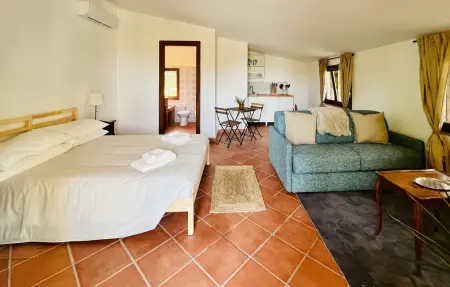 Maison 12 pers. avec piscine et oliviers à Giove : photo 26