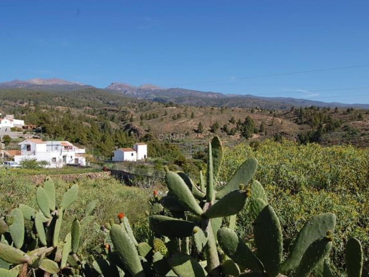 Maison Sofia, gîte 370m² avec piscine privée à Granadilla - Photo 25