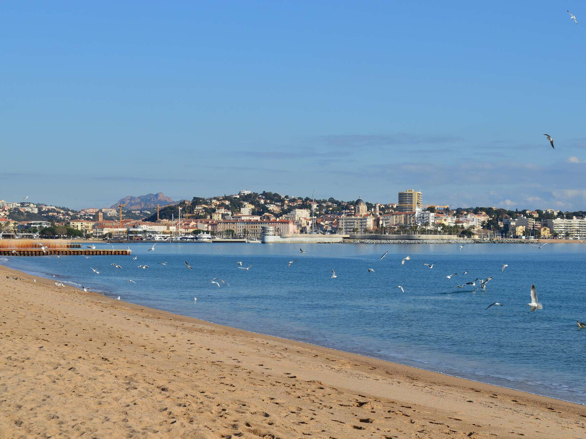 Appartement vue mer à Fréjus, 200 m de la plage - Photo 12