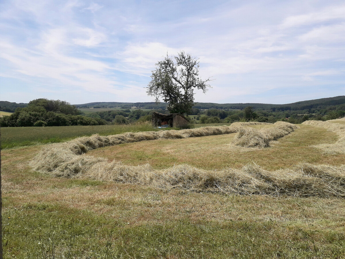 Gîte récemment rénové avec parking privé au Clerjus - Photo 24