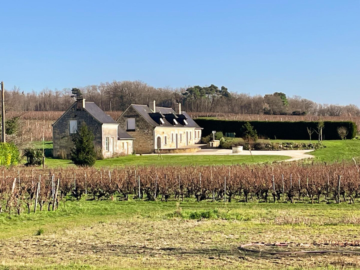 Gîte viticole bio 6 pers., jardin 3000m², 6 vélos - Photo 1