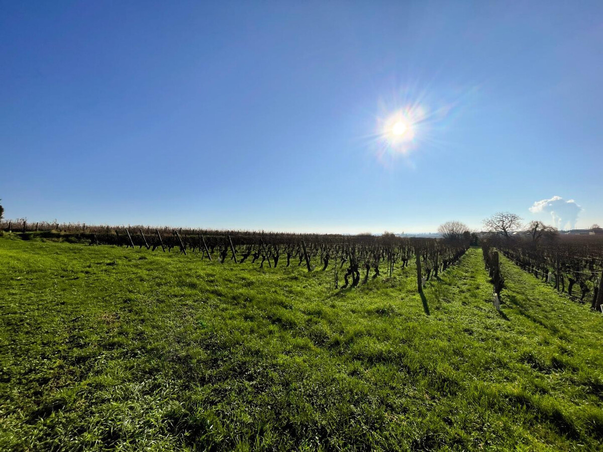 Gîte viticole bio 6 pers., jardin 3000m², 6 vélos - Photo 36
