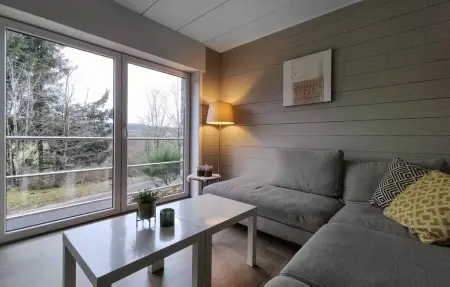Maison 10 pers. avec home cinéma et jacuzzi à Fraiture : photo 4