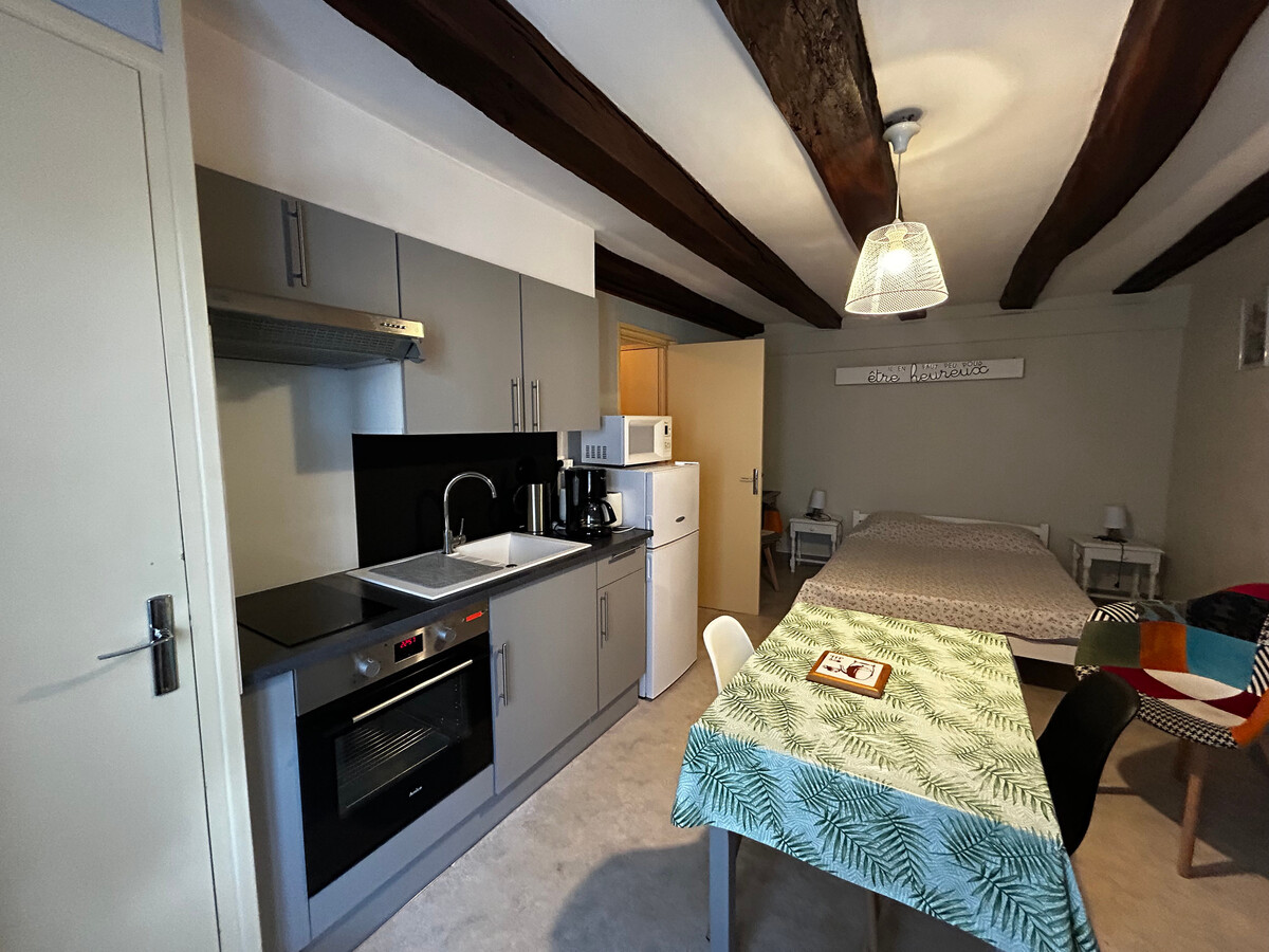 Studio centre La Roche-Posay, Wifi et parking gratuit - Photo 1